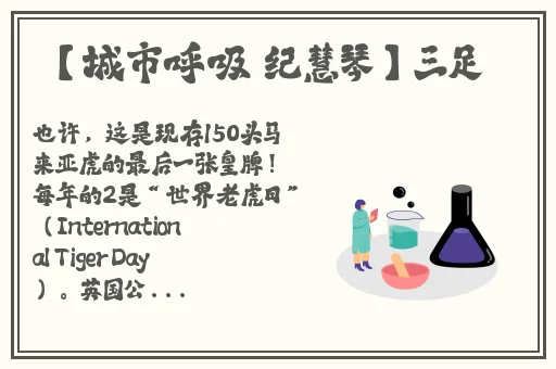 蘑菇tv在线登录入口官网