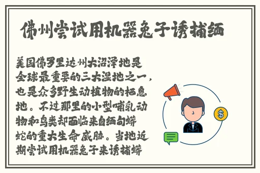麻豆视频精品视频一区